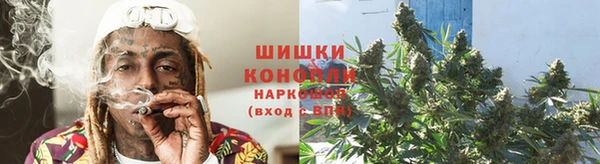 бошки Новозыбков