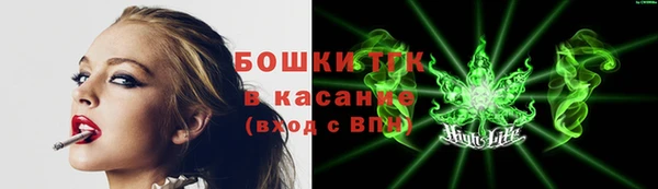 ешки Гусь-Хрустальный