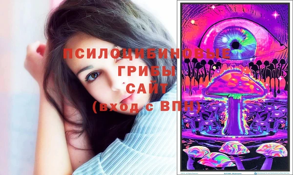 кокс Гусев