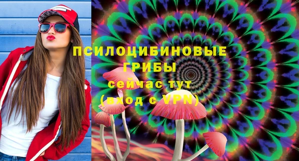 бошки Новозыбков